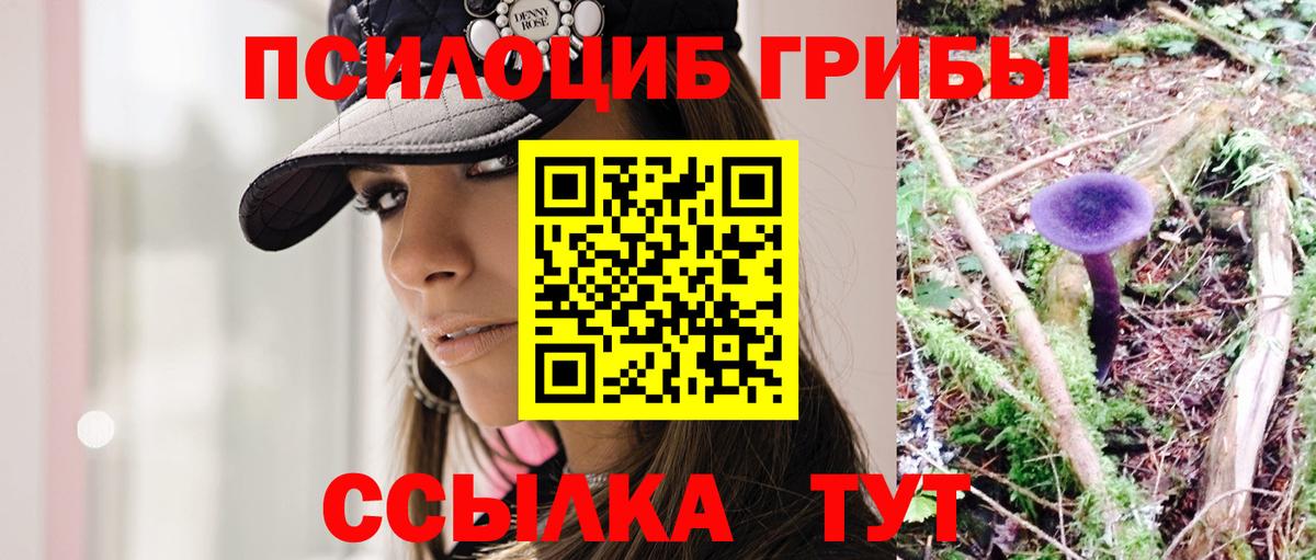 Псилоцибиновые грибы мухоморы  Псилоцибиновые грибы мухоморы  Вход с VPN  Ишим 