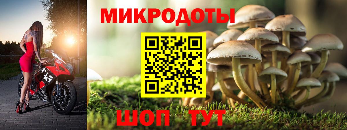 Псилоцибиновые грибы прущие грибы Ишим